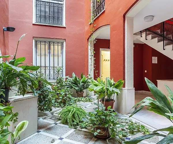 Precioso En Santa Cruz Lirio Bajo *